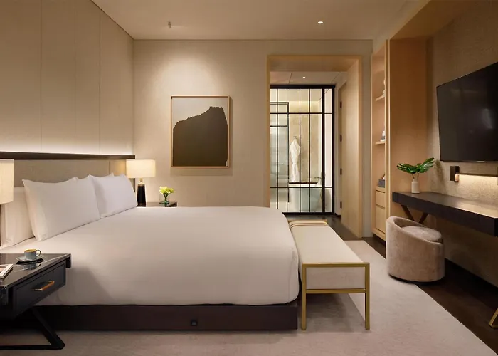 Park Hyatt Polanco 4*