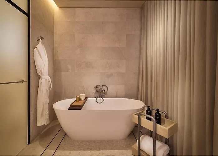 Park Hyatt Polanco Hotel