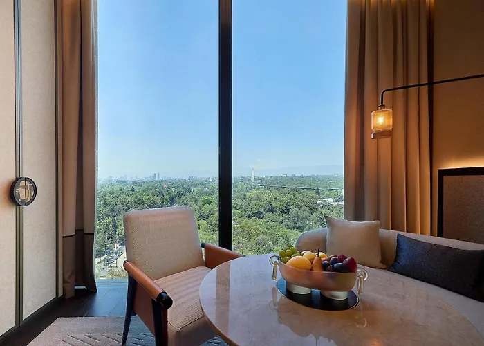 Park Hyatt Polanco 4*